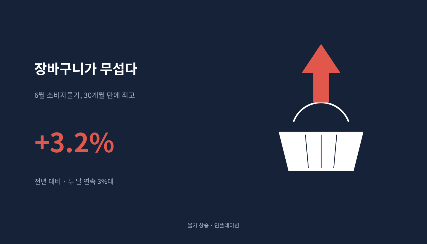장바구니 물가 상승을 나타낸 6월 소비자물가 대표 이미지